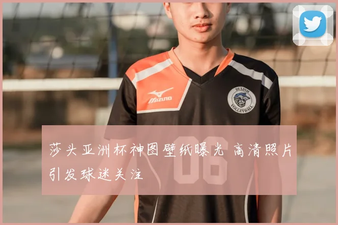 莎头亚洲杯神图壁纸曝光 高清照片引发球迷关注