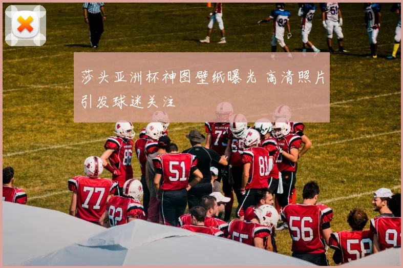 莎头亚洲杯神图壁纸曝光 高清照片引发球迷关注