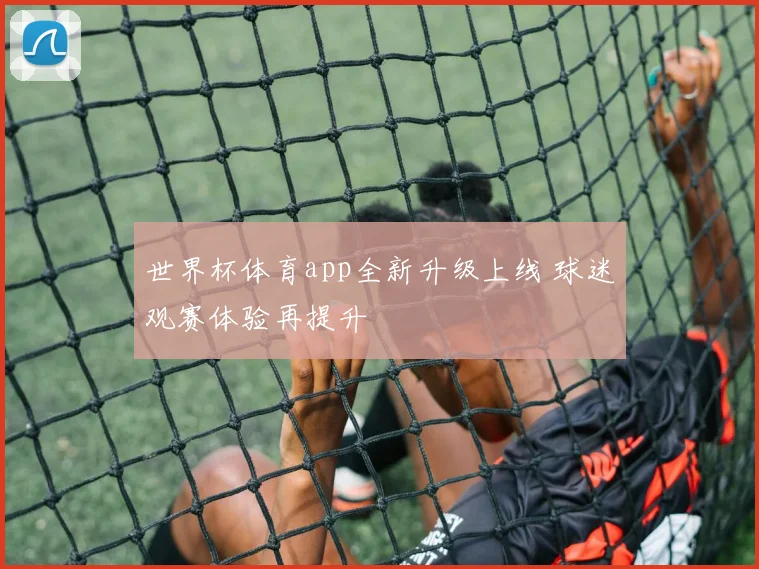 世界杯体育app全新升级上线 球迷观赛体验再提升