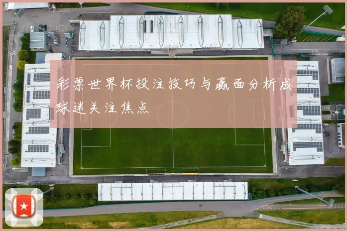彩票世界杯投注技巧与赢面分析成球迷关注焦点