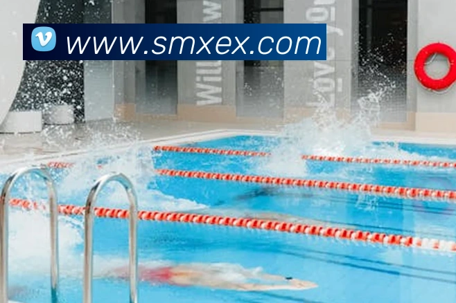 世界杯官网登录app平台生态图